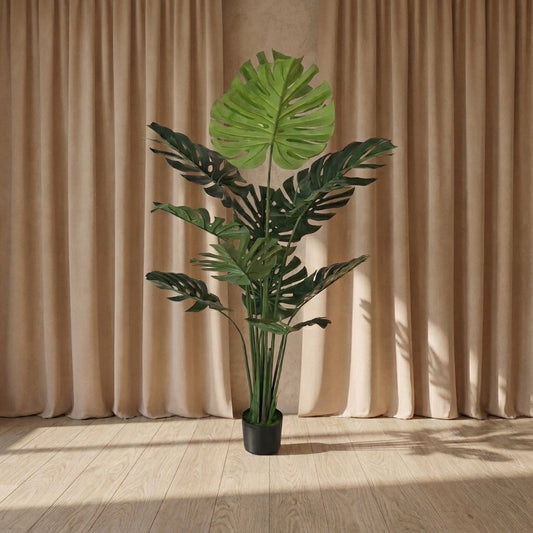 Monstera Plant – 16 Leaves
