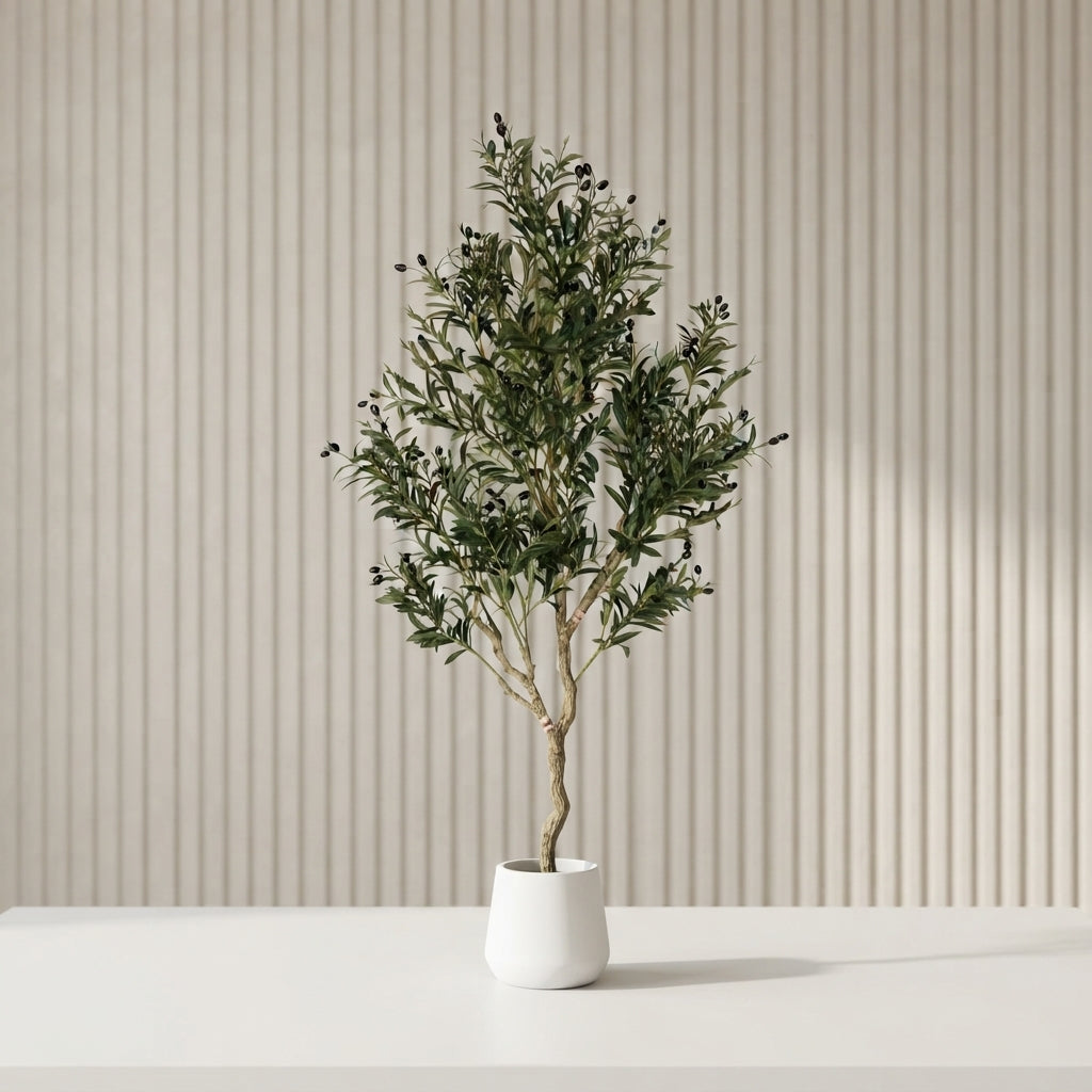 X-Large Zaitoon Plant