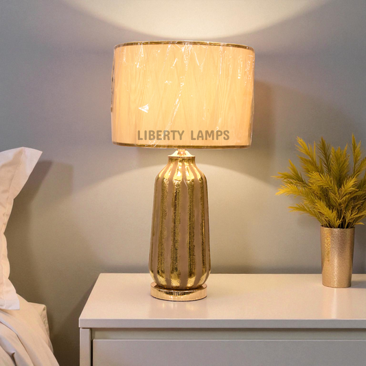 Rustic Charm Terracotta Table Lamp (Pair)