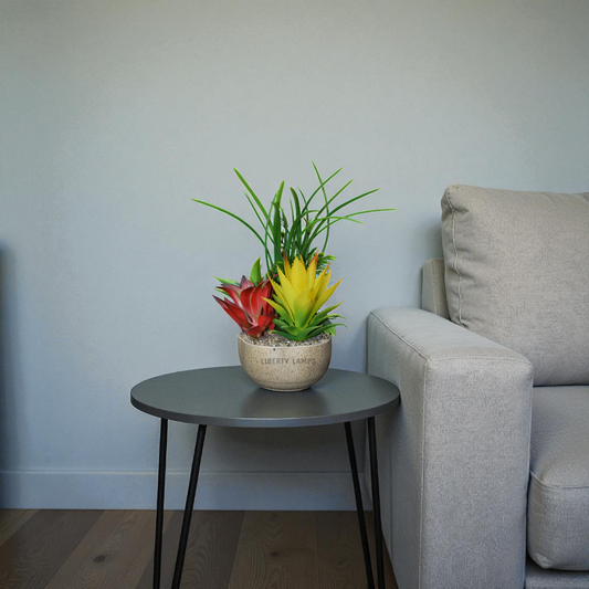 Desert Bloom Large Cactus Plant (Single)