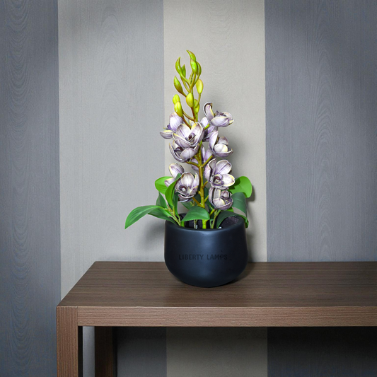 Regal Petal – Fancy Flower Pot (Single)